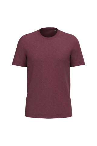 BIO150IC MEN'S ROUND NECK T-SHIRT